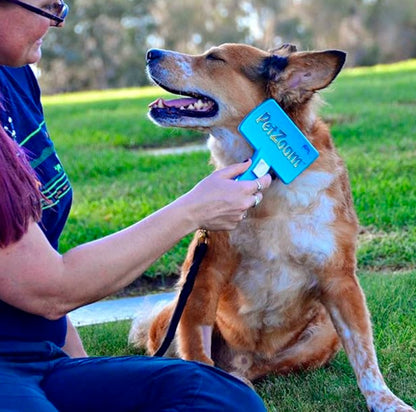 CEPILLO QUITA PELOS PARA PERROS Y GATOS